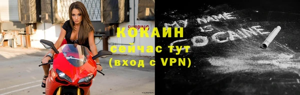 стаф Баксан