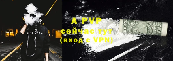 стаф Баксан