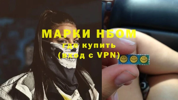 стаф Баксан