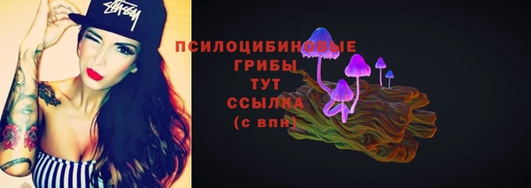 тгк Балахна