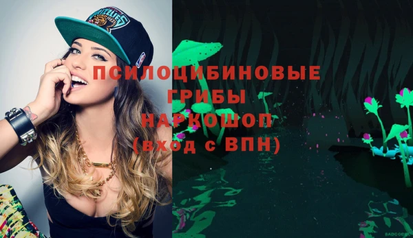 сатива Балабаново