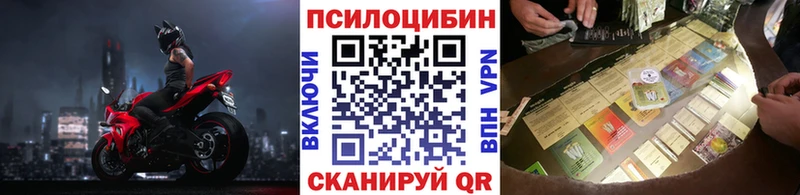 сколько стоит  Элиста  ссылка на мегу как зайти  Галлюциногенные грибы мицелий 