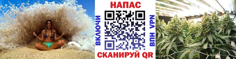 Бошки Шишки тримм дарнет шоп Элиста
